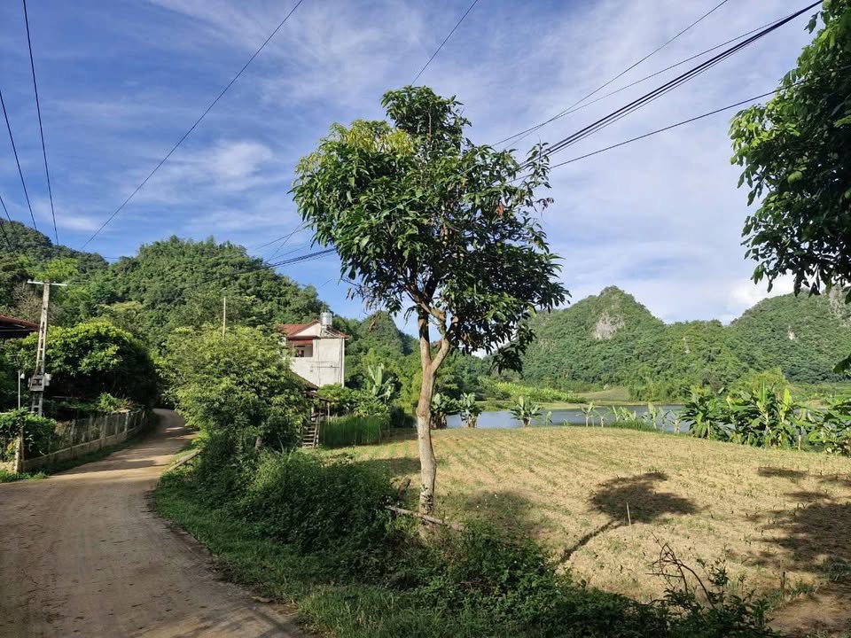 Đất Nền Mặt Hồ Chiềng Sinh, Sơn La - Sổ Hồng Sẵn Sàng
