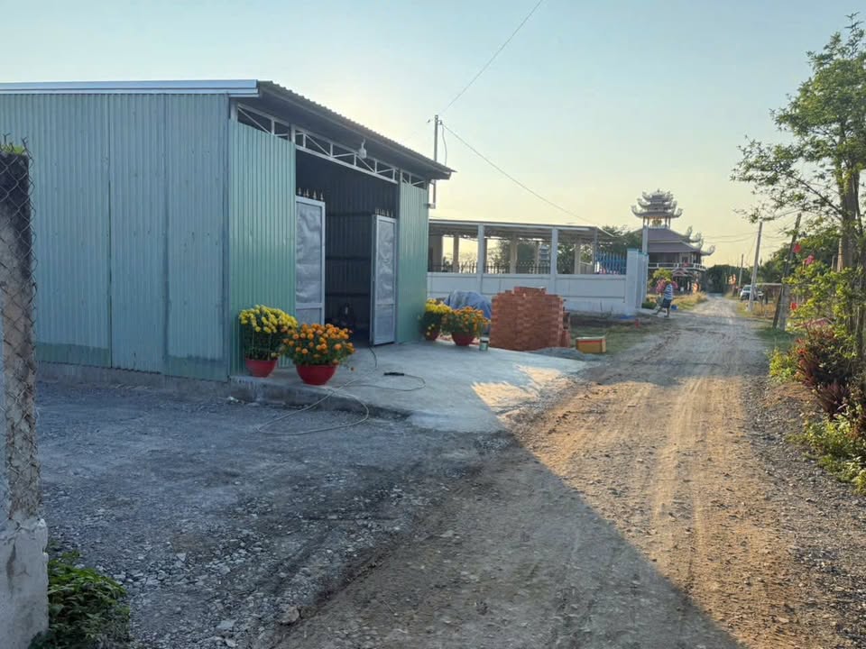 Bán Đất Thổ Cư 1932m² Sổ Hồng Riêng Cần Giuộc, Long An - Sẵn Sàng Xây Nhà