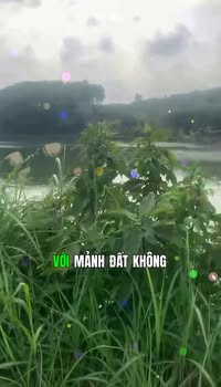 Trang trại 3.5ha Bám Hồ 300m, Có Dòng Tiền Tại Đại Từ, Thái Nguyên