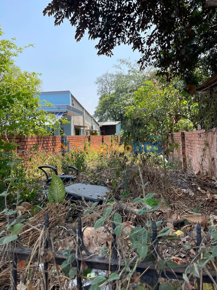 Mặt Tiền Kinh Doanh Trần Thị Dương Dĩ An - 185m² - 4.25 Tỷ