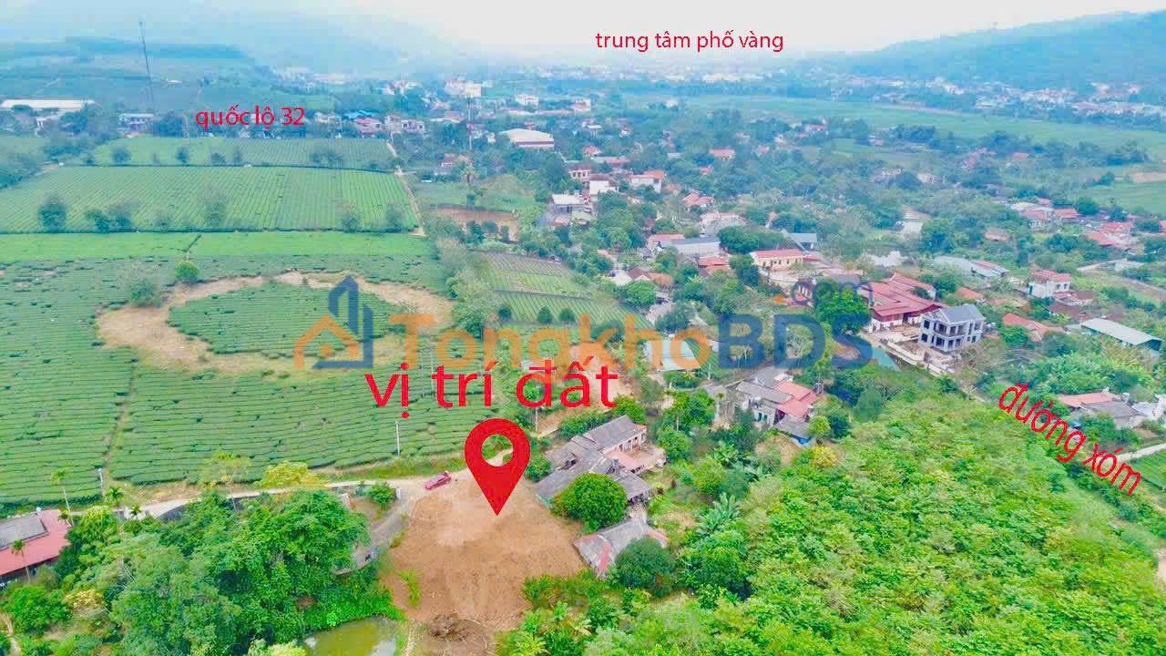 Bán Đất Phú Thọ 639m² - View Đồi Chè Thanh Sơn, Sổ Đỏ