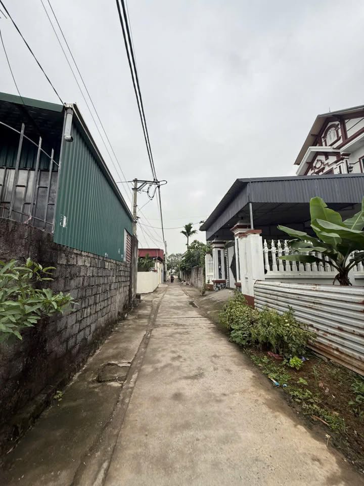 Bán đất Tri Trung, Phú Xuyên 80.7m² - Sổ đỏ sẵn sàng, giá 3.55 tỷ