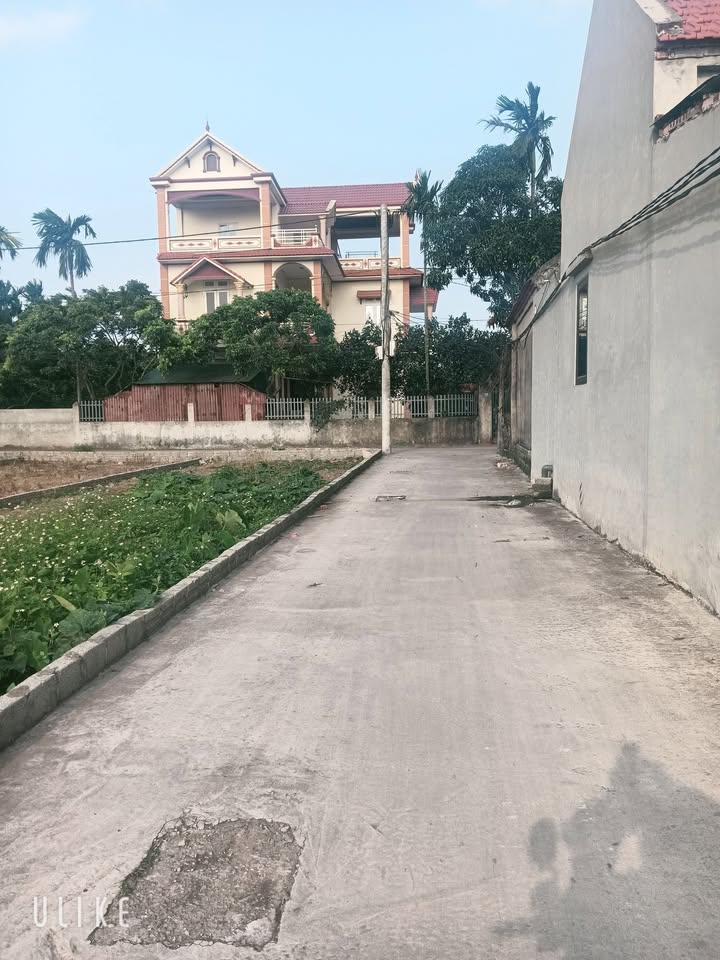 Đất Lô Góc Trục Chính Quang Lãng, Phú Xuyên 80m² - Sẵn Sàng Xây Dựng