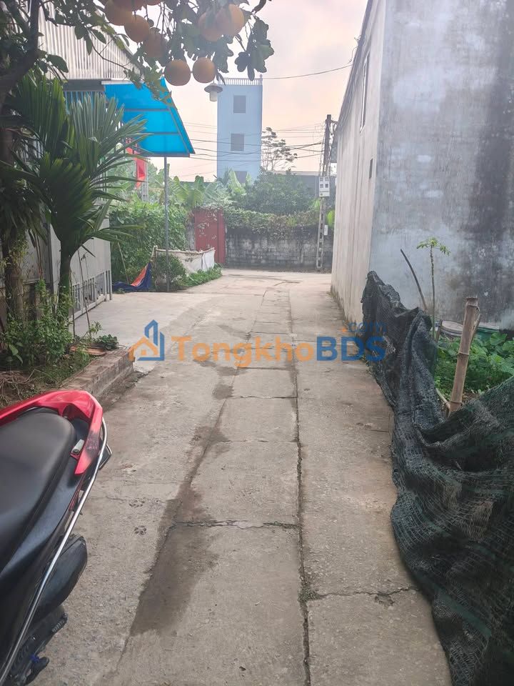 Đất Vạn Phúc, Thanh Trì 58.9m² - Sổ Hồng Sẵn Sàng