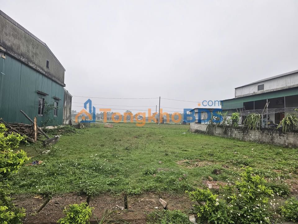 Đất Nền Cẩm Xuyên, Hà Tĩnh - 292.6m², Hướng Đông Nam, Giá 1.5 Tỷ