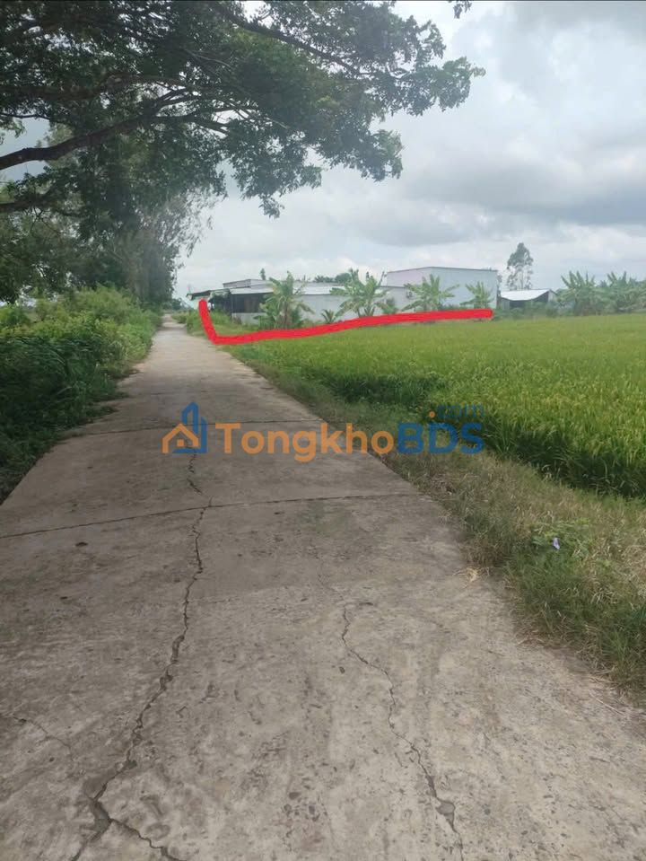 Đất Vườn Sóc Trăng 10440m² - Sẵn Sổ, Giá Đầu Tư 3.1 Tỷ