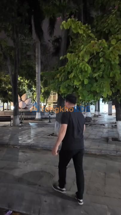 Đất nền Vàng - Nguyễn Gia Thiều, Thuận Thành, Bắc Ninh - 42.5m² - Cơ hội đầu tư