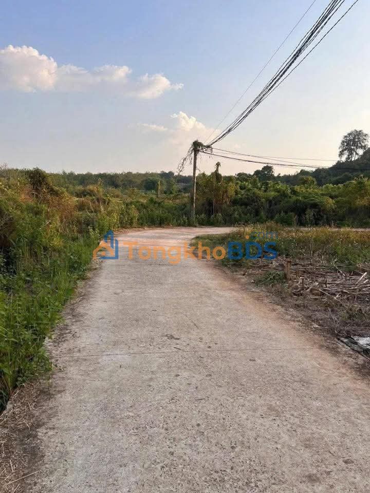 Bán Gấp Đất 1000m² Phường An Lạc A, Bình Tân - Giá 2.3 Tỷ