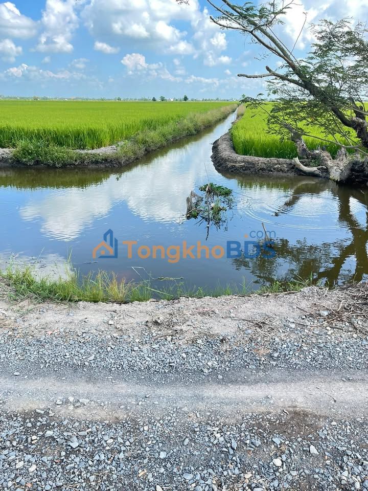 Đất Vườn 9200m² Đồng Tháp - 2 Mặt Tiền, Giá Đầu Tư 1.7 Tỷ