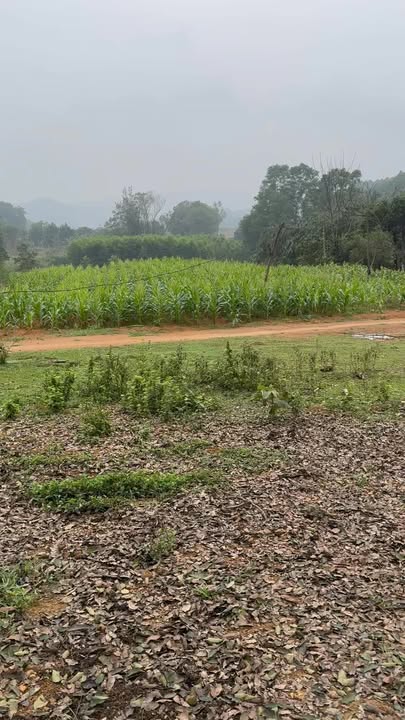 Đất Vàng Mặt Tiền Hồ Chí Minh, Hương Sơn - 2282m² - Sẵn Sàng Đầu Tư