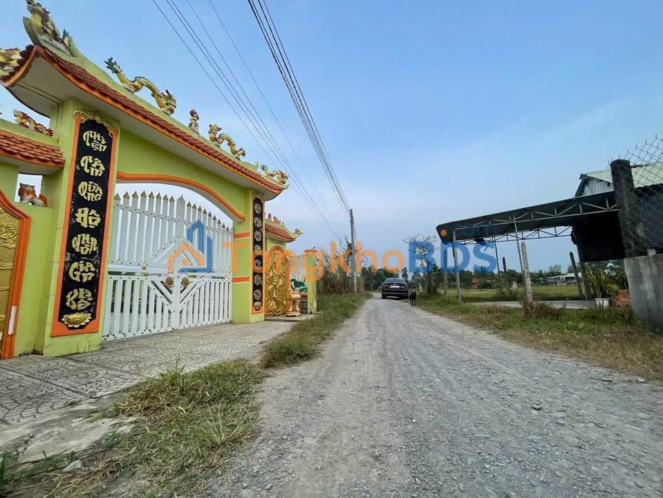 Bán đất nền Ấp Giồng Ngang, Đức Hòa - 250m² thổ cư, sẵn sàng xây nhà