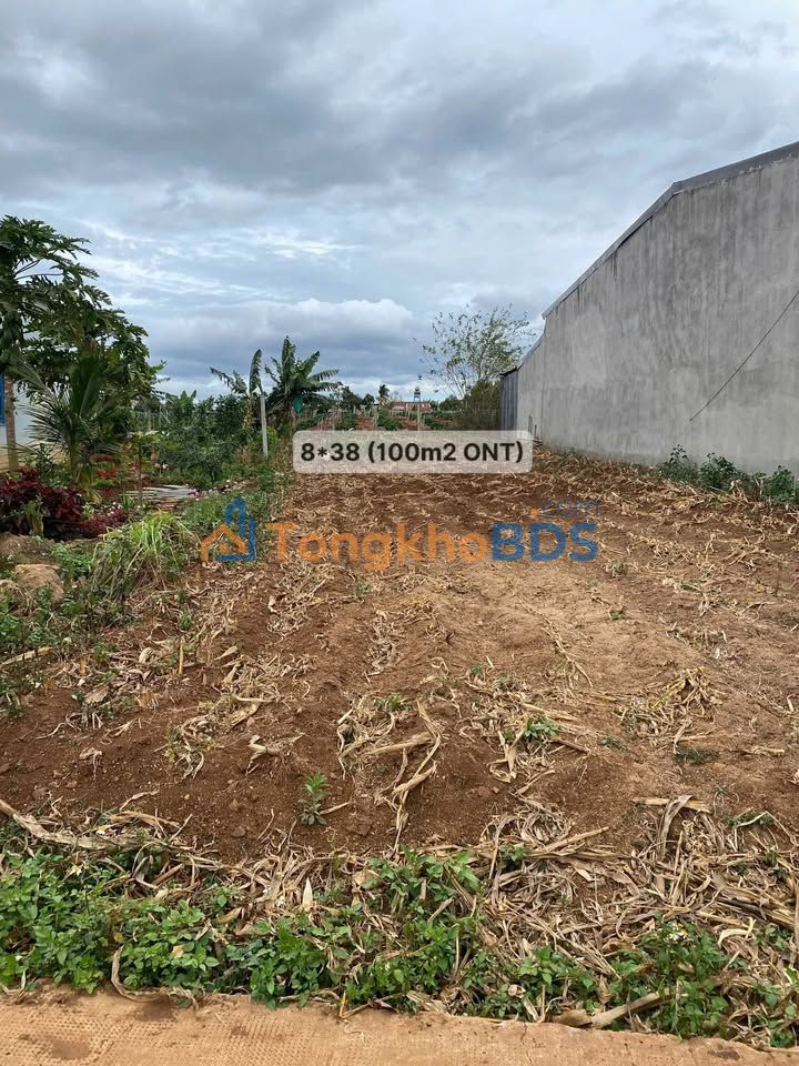 Đất nền Tân Hội, Lâm Đồng 299m² (8x38m) - Sổ đỏ sẵn, giá 1.3 tỷ