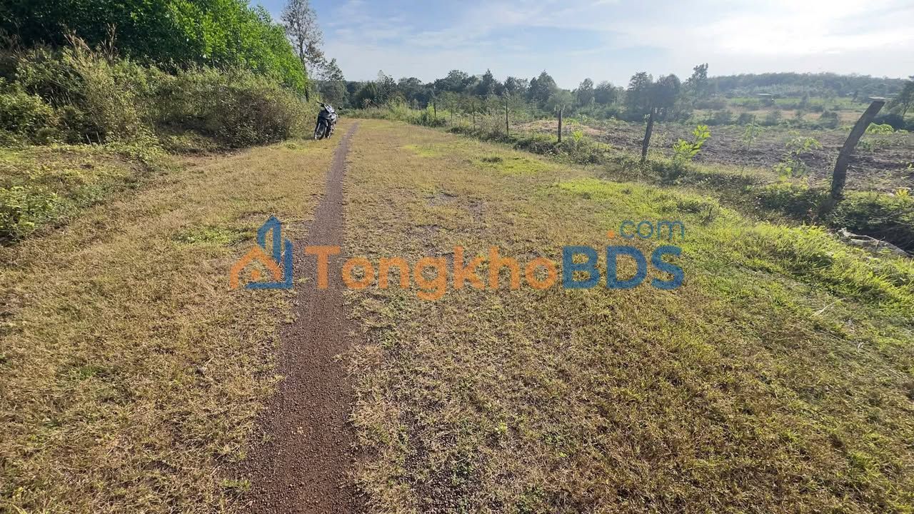 Bán Đất 10.000m² Mặt Tiền Đường 89m, Tân Tiến, Bù Đốp, Bình Phước - 1.2 Tỷ