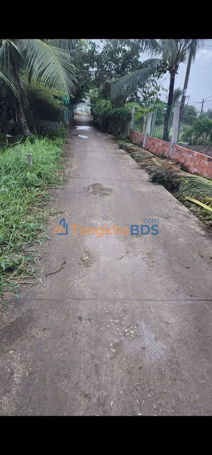 Đất Vườn Bạc Liêu 1420m² Sổ Đỏ Chính Chủ - Giá Tốt Thu Hồi Vốn