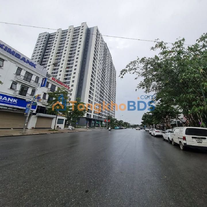 Đất TĐC Trâu Quỳ 39m² - Đường 13m, Sẵn Sổ Đỏ - Giá Đầu Tư