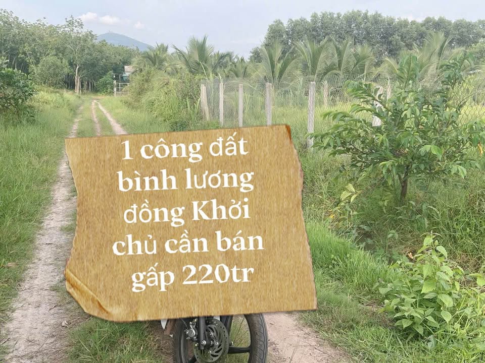 Bán Đất Nền 936m² Đường Đồng Khởi, Dầu Tiếng - Giá 220 Triệu