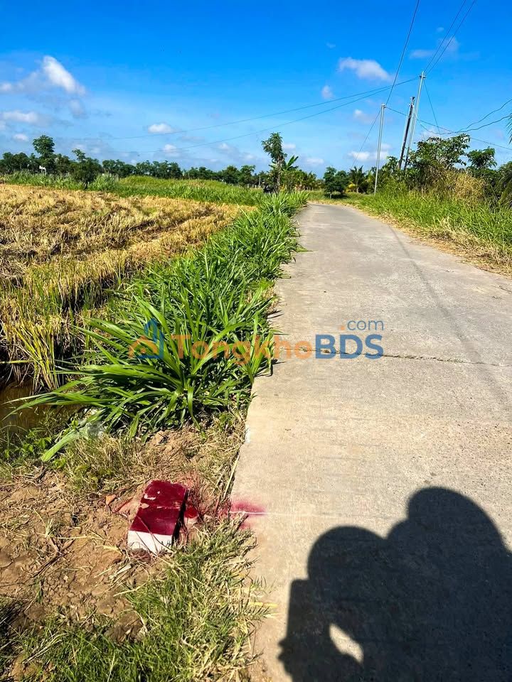 Đất Nền 100m² Thổ Cư MT Đường Bê Tông, Tân Tây, Gò Công Đông - 370 Triệu