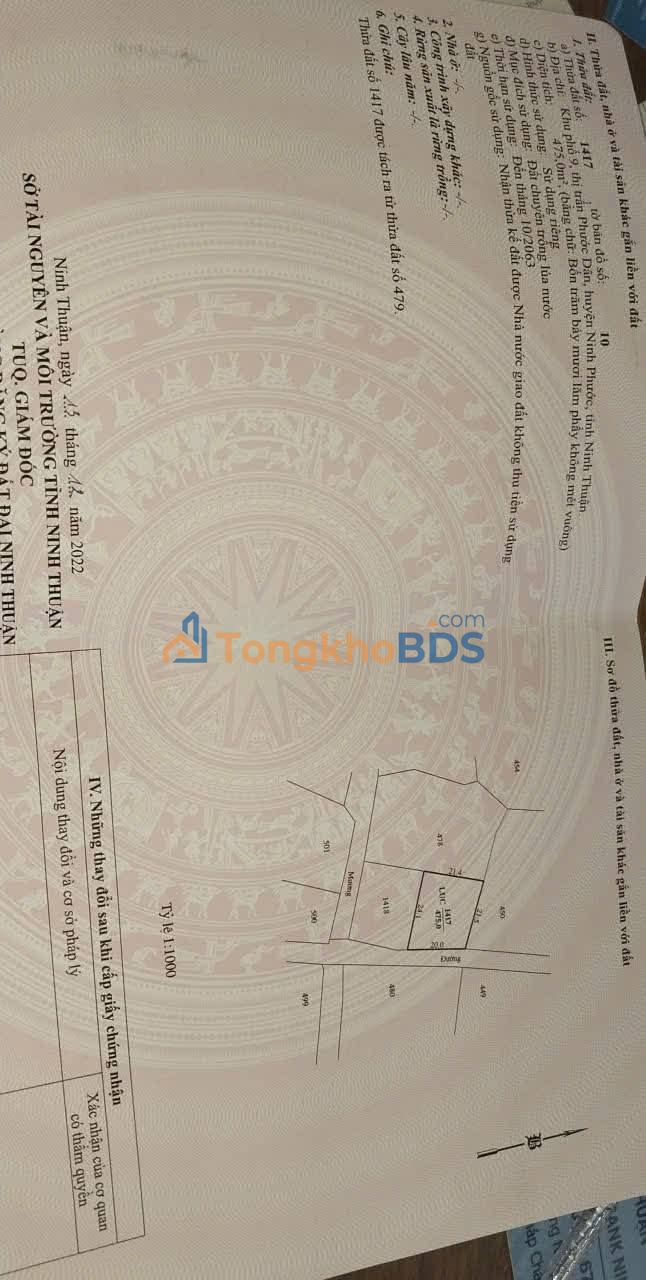 Bán Đất Lúa 475m² Mặt Tiền 20m, Ninh Phước, Khánh Hòa - Giá Tốt