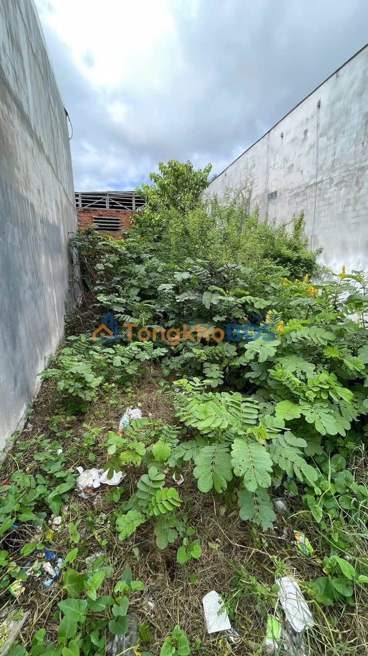 Bán Đất Nền Hẻm Thống Nhất, Phan Rang - 66m² Hướng Đông, Giá 830 Triệu