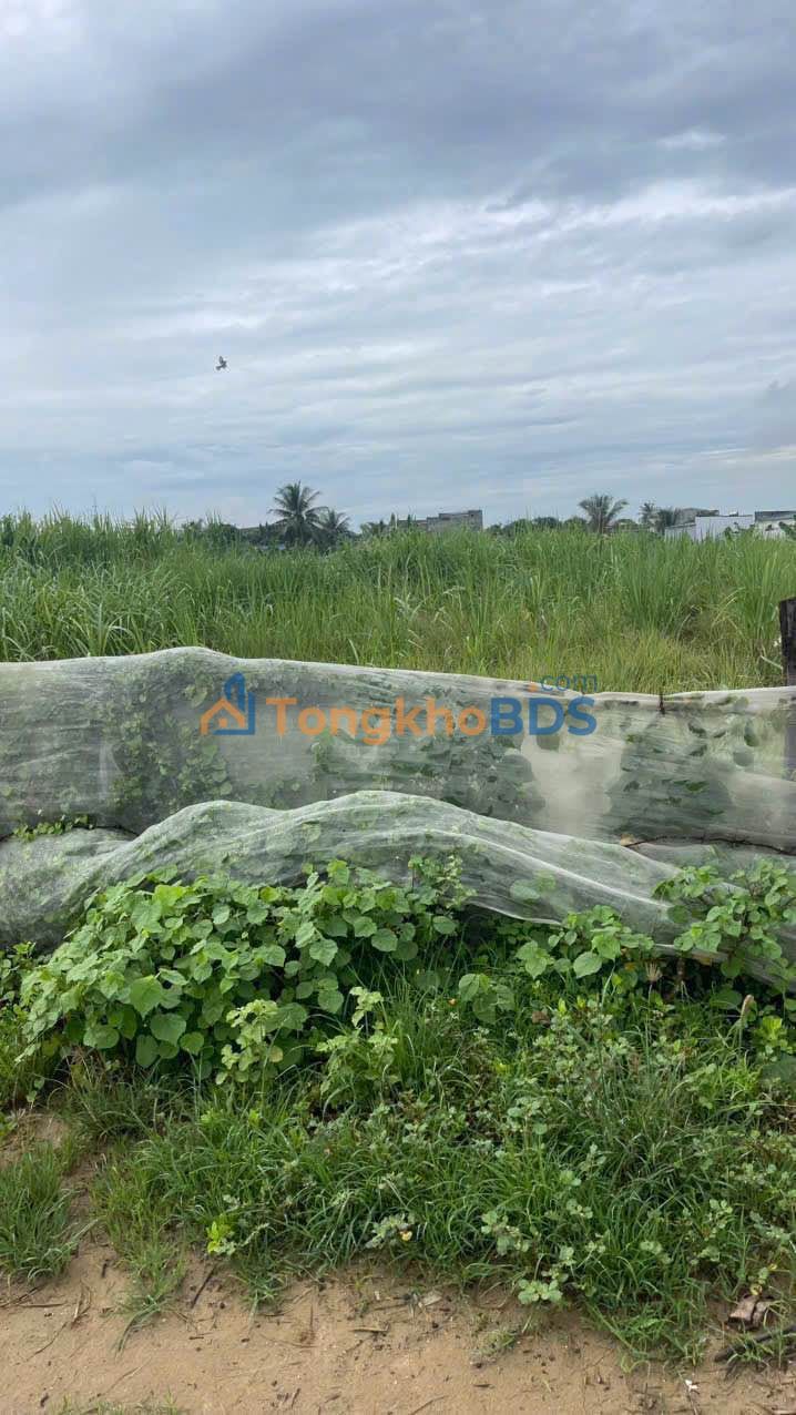 Bán Đất Thổ Cư Đạo Long, Phan Rang 120m² - Sổ Đỏ Sẵn Sàng