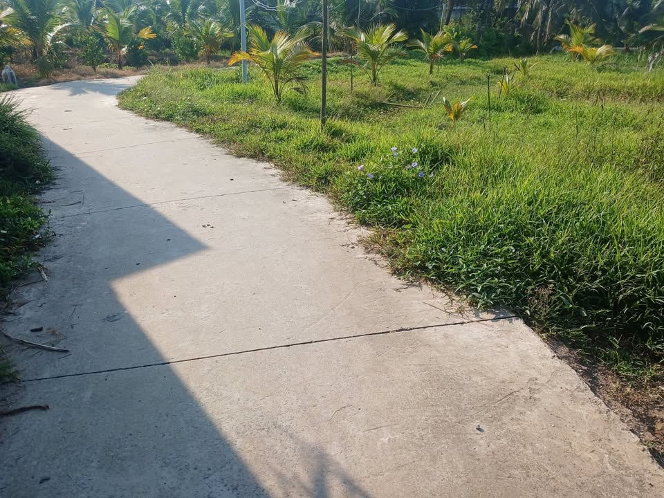 Đất Vườn Tam Hiệp, Châu Thành, Tiền Giang - 2014m² Sẵn Sổ, Giá 2.2 Tỷ