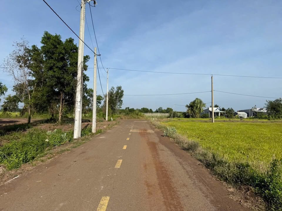 Đất nền 398m² mặt tiền nhựa Phước Long, Đất Đỏ - Đầu tư sinh lời cao