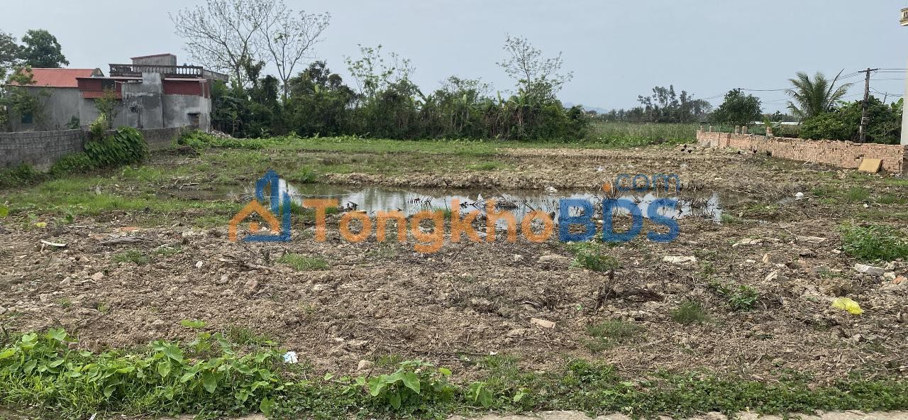 Bán Gấp Đất Vàng Hoa Lộc, Hậu Lộc - 1600m² Sổ Đỏ, Giá 2 Tỷ Tốt Nhất