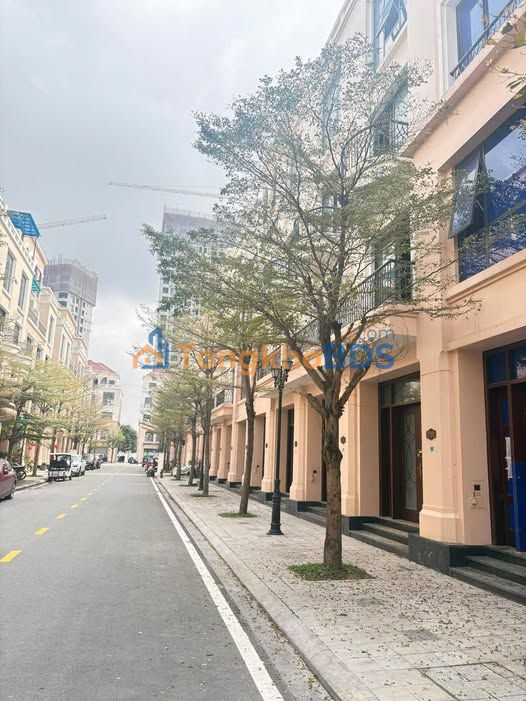 Bán Gấp Nhà Hải Âu Vinhomes Ocean Park 65m² - Sẵn Sổ, Giá Cắt Lỗ 8.9 Tỷ