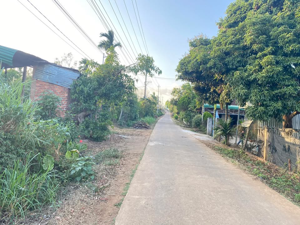 Đất Vàng Ea Kar - Sổ Đỏ 234m² Gần UBND Xã Xuân Phú - Giá Tốt