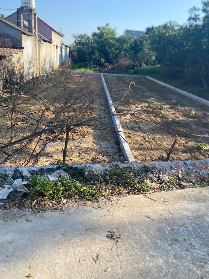 Đất nền 70m² Phường Hiệp Hoà, TP. Bắc Giang - Sổ đỏ sẵn, giá chỉ 1.1 tỷ