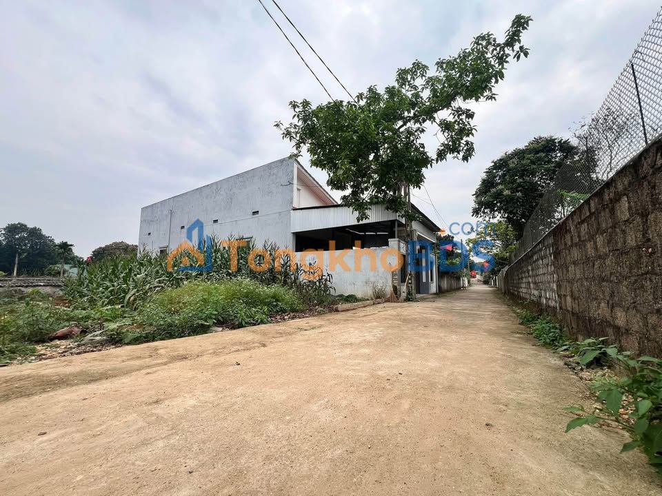 Đất nền Xã Tây Hiếu, Thái Hòa, Nghệ An - 156m² - Sổ đỏ sẵn sàng giao dịch