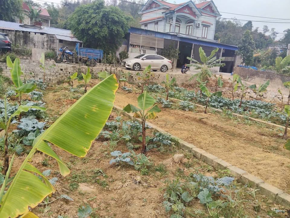 Bán Gấp 2 Lô Đất Vàng Thủy Nguyên, Hải Phòng - 70m²/lô, Chỉ 500 Triệu