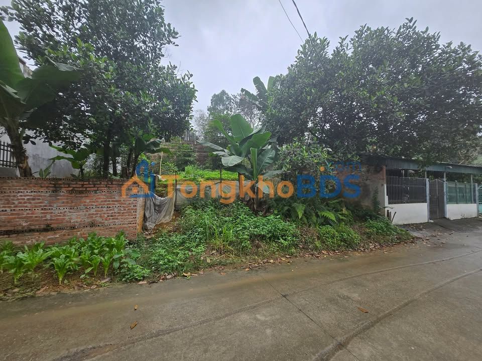 Bán Đất Thị Trấn Thanh Ba 200m² - Sổ Hồng Sẵn Sàng