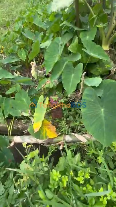 Đất Nền Điện Bàn 165m² - Lô Liền Kề Giá Chỉ 5xx Triệu - Sổ Đỏ Rõ Ràng