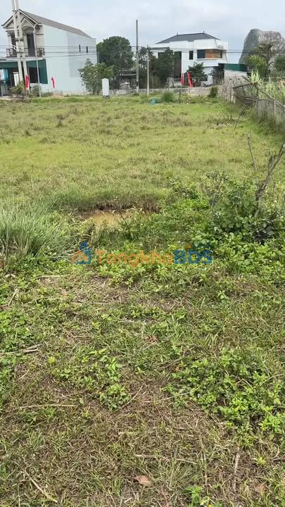 Đất TĐC Hưng Nam Trường Lâm 110m² - Đầu tư/An cư lý tưởng