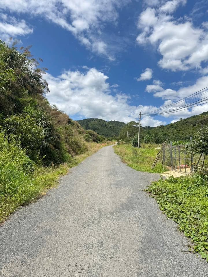 Đất Nền 166m² Sổ Đỏ Xã Lộc Thành, Bảo Lâm - Giá Ngộp 550 Triệu