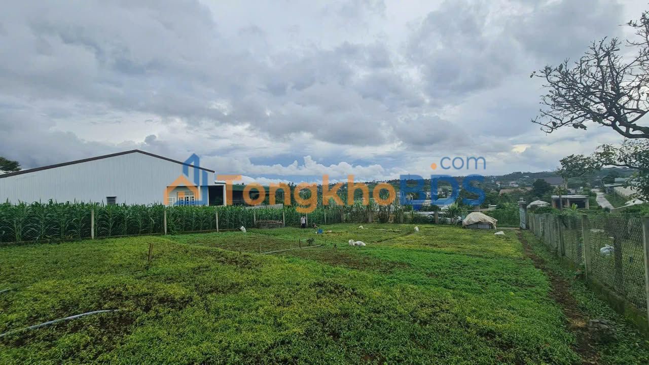 Đất Nền Mặt Tiền Hẻm 111 Lý Thái Tổ, Bảo Lộc - 733m² Thổ Cư, Giá Tốt