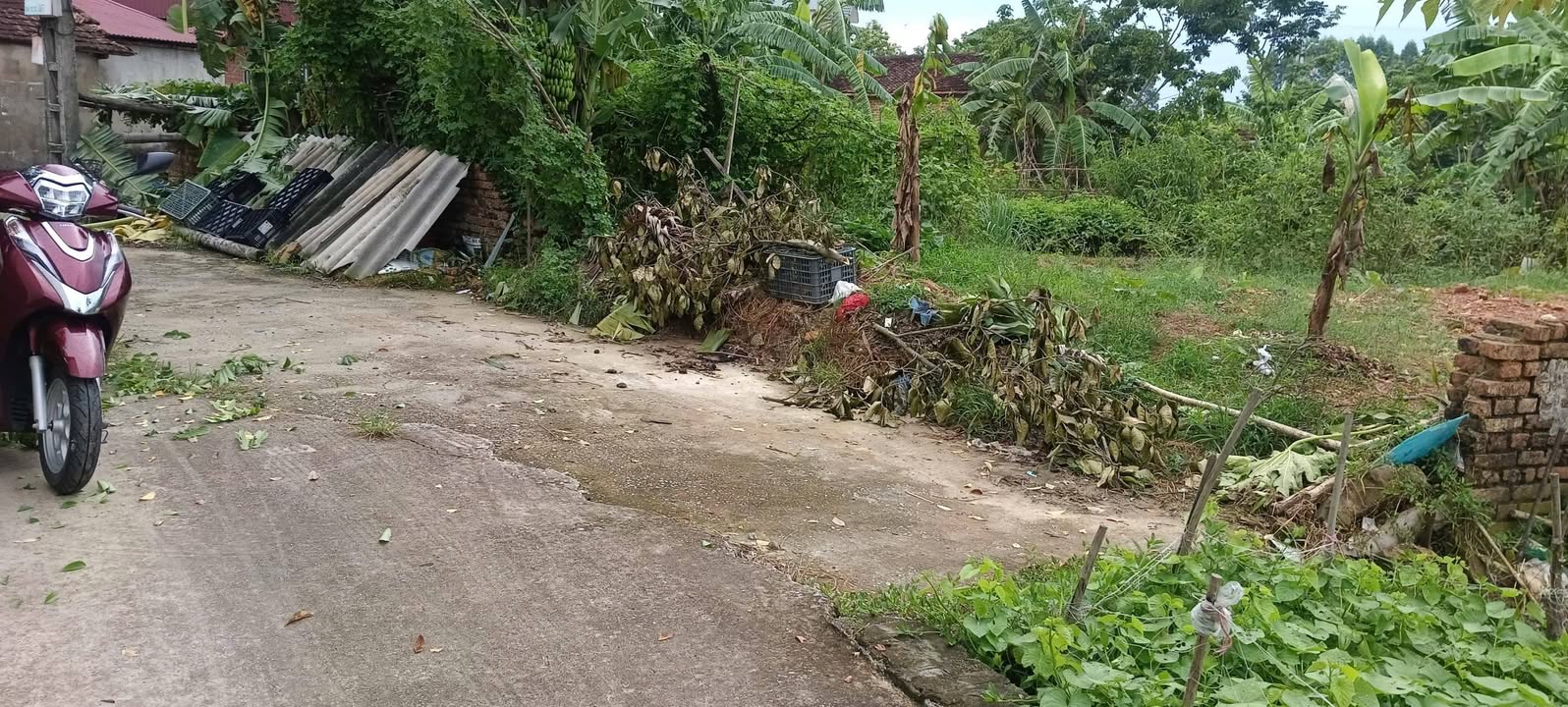 Đất Nền Lạng Giang 130m² - Sổ Thổ Cư, View Đồng Thoáng Đãng