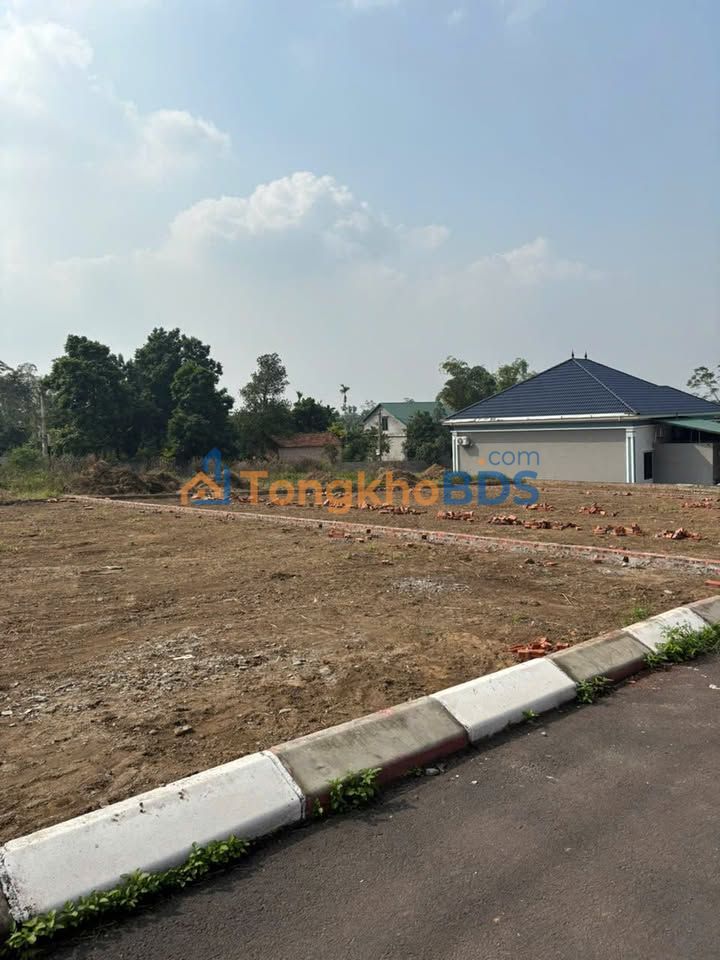 Đất Nền Ba Vì 255.9m² - Mặt Đường Nhựa, Sổ Hồng Riêng, Giá 1.x Tỷ