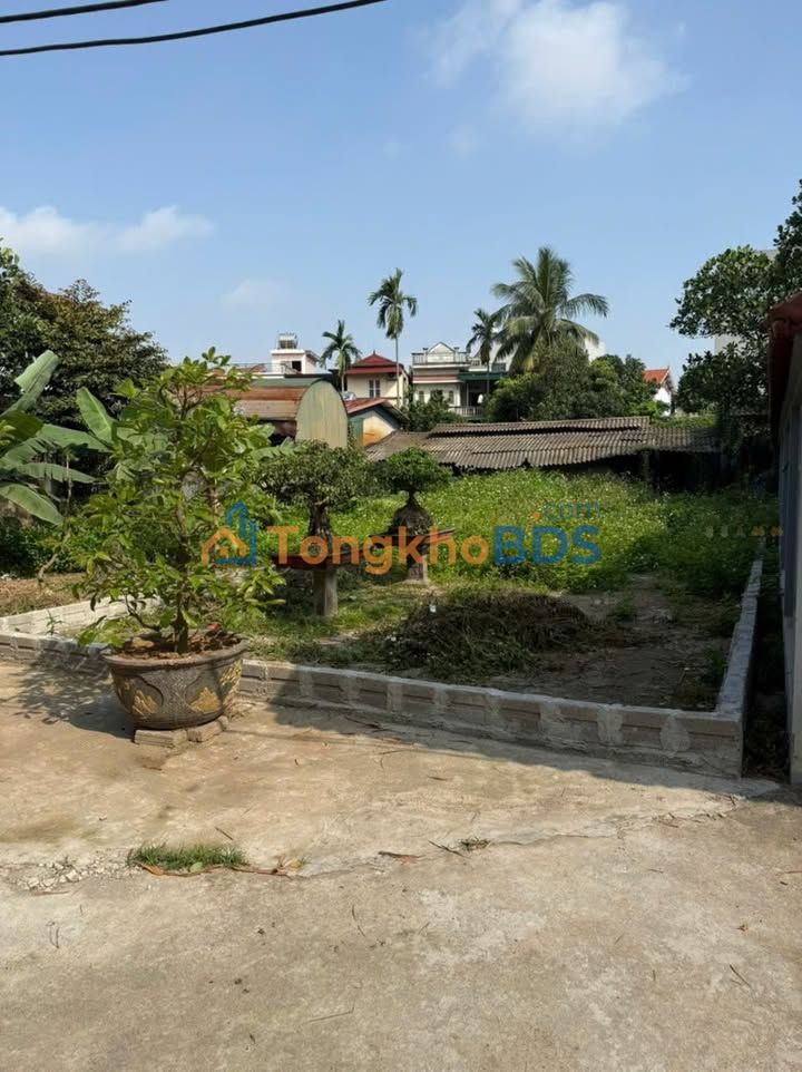 Đất Vàng Phố Bình Vọng 122.5m² - Mặt Tiền 5.5m - Đầu Tư Sinh Lời Cao