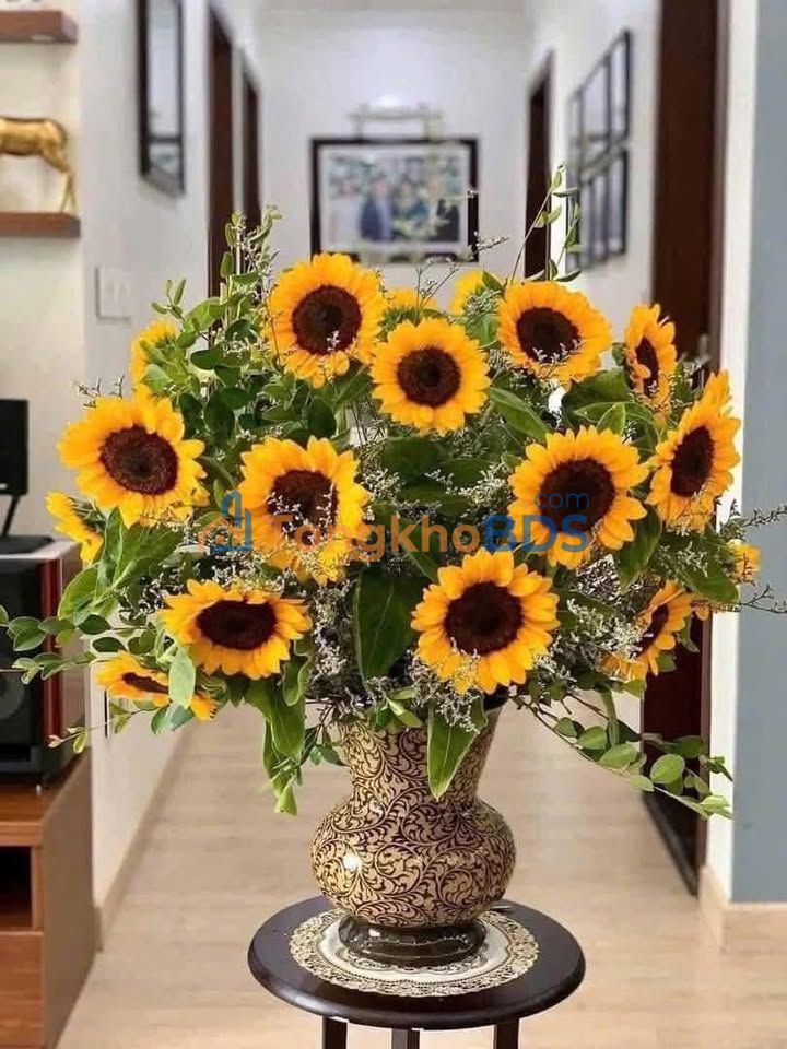 Bán Đất Mặt Đường Kênh, Nam Định - 96m², 5.x Tỷ - Vị Trí Đắc Địa