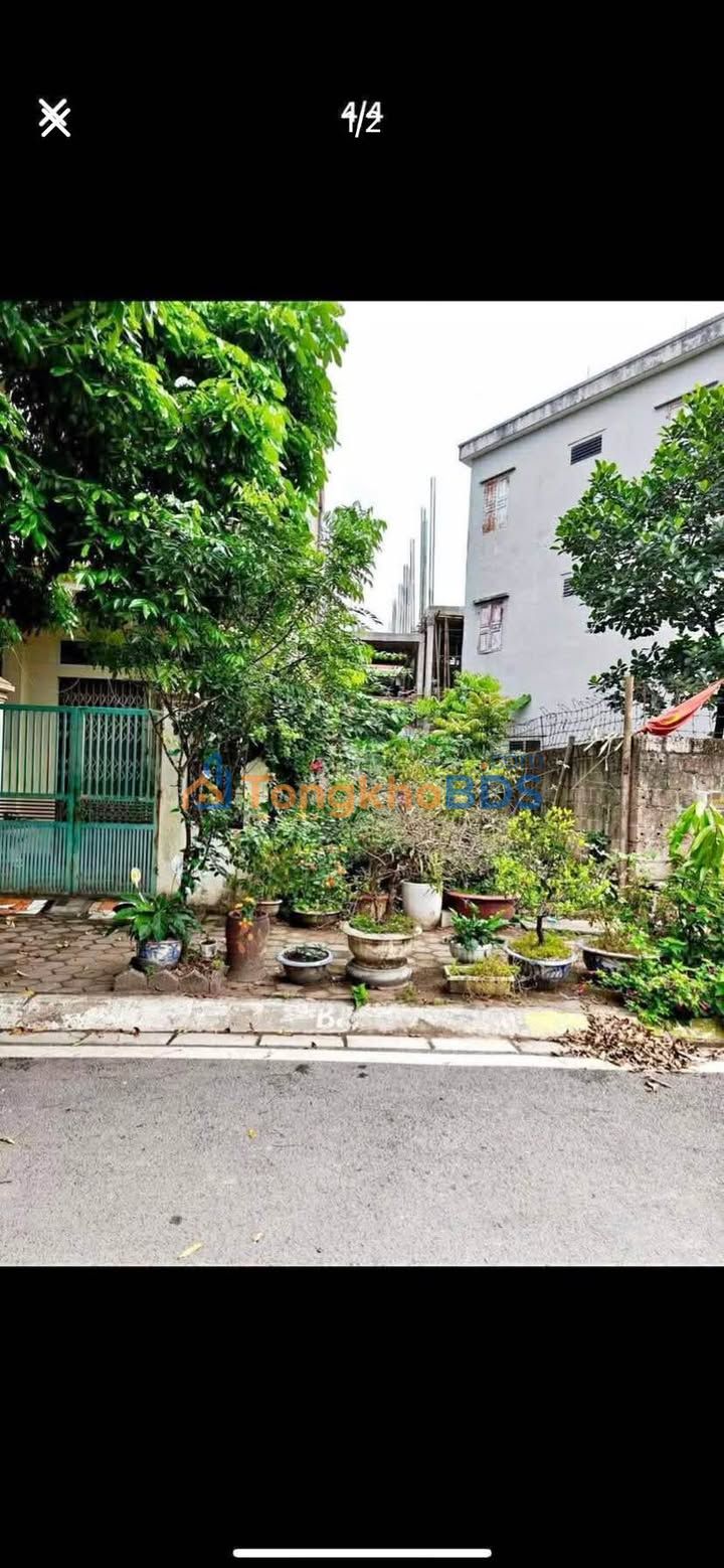 Bán đất Tô Vĩnh Diện - TĐC Trần Quang Khải, Nam Định 64m² giá 3.28 tỷ