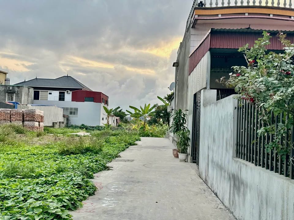 Đất nền An Dương, Hải Phòng - 46m² - Ngõ ô tô, Sổ đỏ chính chủ