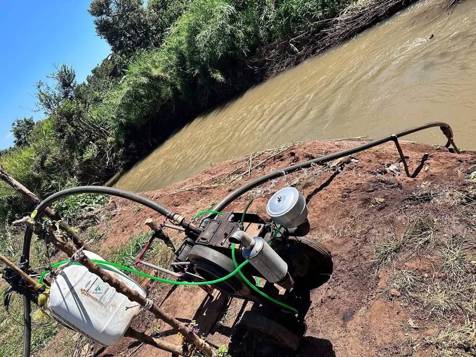 Bán Gấp Farm 22.000m² Đắk Lắk - Sổ Đỏ Chính Chủ, Giá 3.3 Tỷ