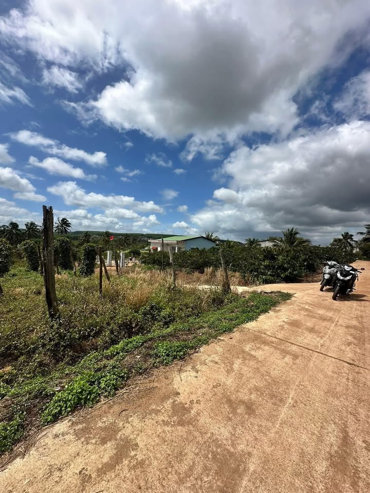 Đất Vàng Ea Sol 300m² - 2 Mặt Tiền, Giá Tốt 49 Tỷ - Đầu Tư Sinh Lời