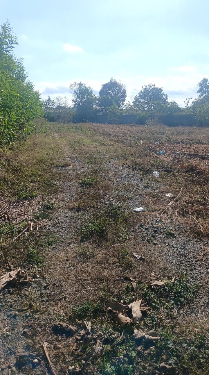 Bán Đất Nền Xã Sông Ray, Cẩm Mỹ 6480m² Sổ Đỏ 700 Triệu