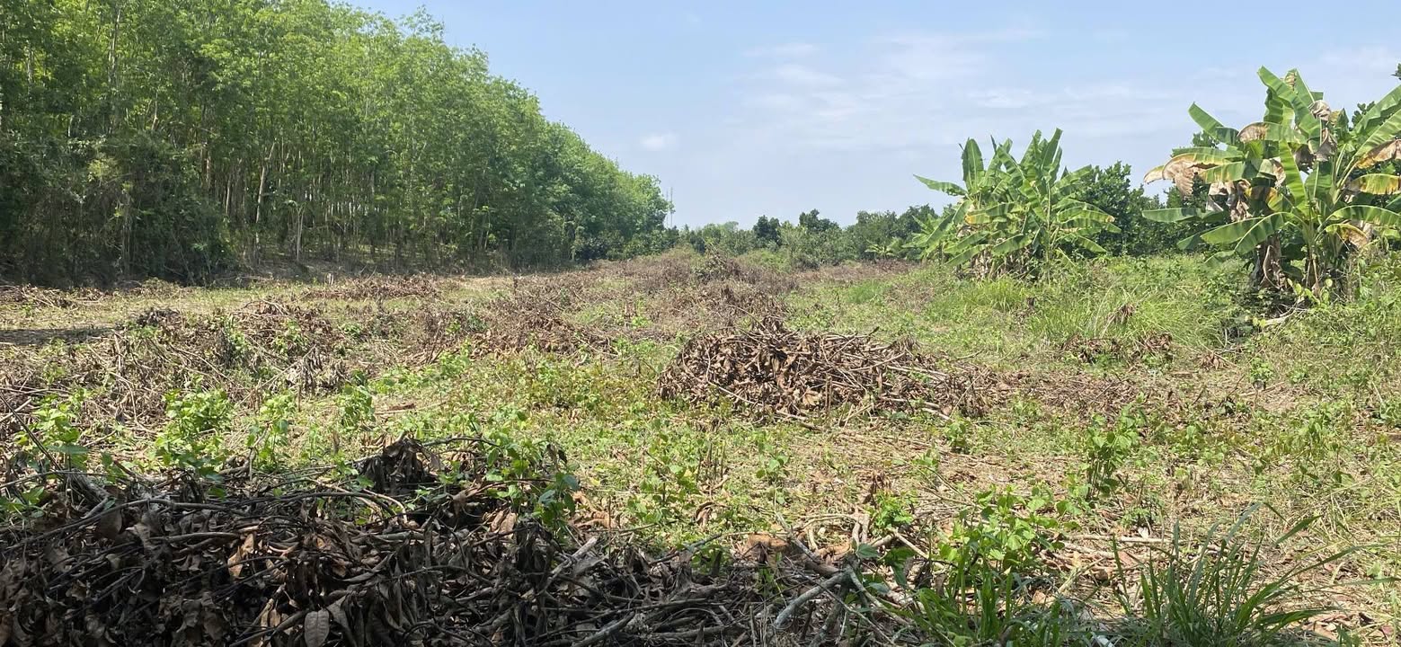 Bán Đất 10800m² Định Quán - Sổ Hồng Sẵn Sàng - Giá 5.8 Tỷ