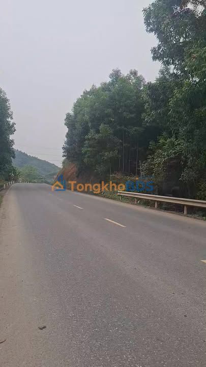 Bán đất trồng cây lâu năm 1798m² mặt tiền đường HCM, Tuyên Quang