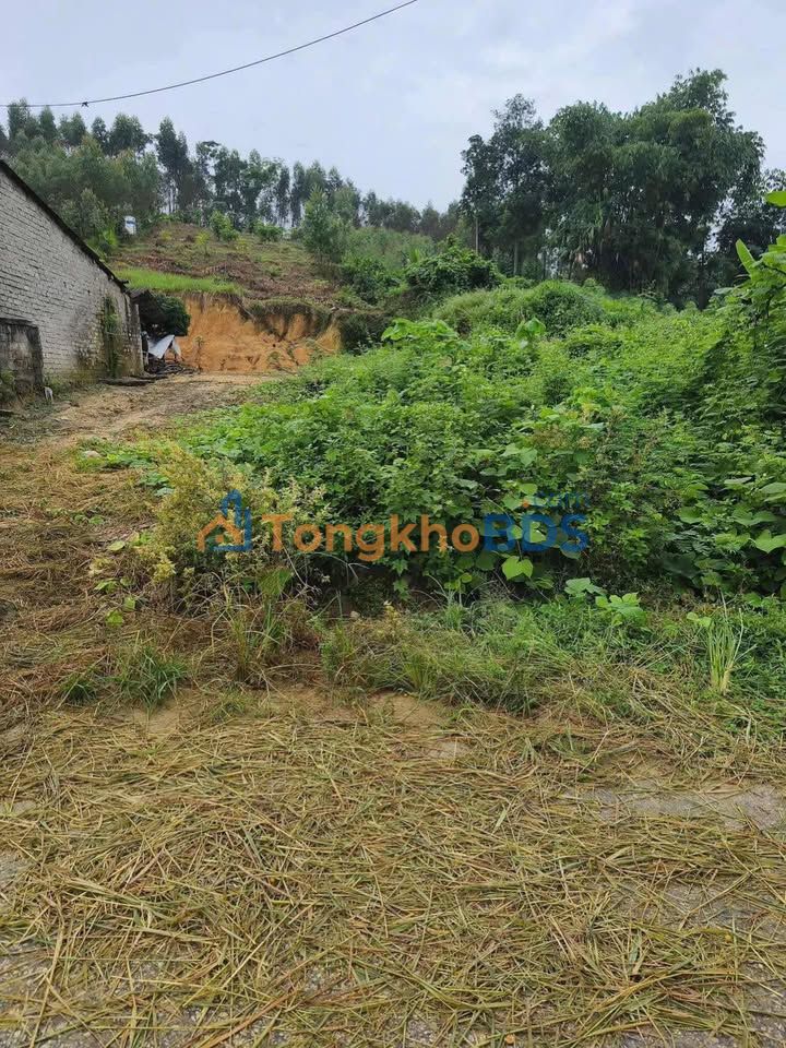 Bán đất Thôn 14 Kim Quan, Tuyên Quang - 480m² Thổ cư, Gần Cao tốc