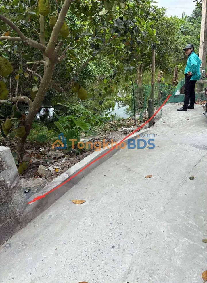 Bán đất Nam Định 96m² hướng Nam - Giá 1.3 tỷ, ngõ rộng ô tô